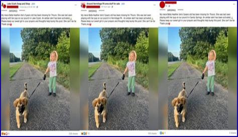 The Bella Heather Missing Scam Exposed!